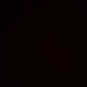 Meet your Posher, Jackson